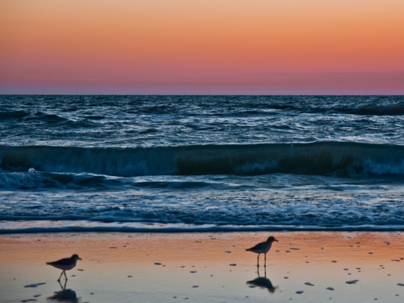 Screenshot №1 pro téma Sunset In Naples Florida 800x600