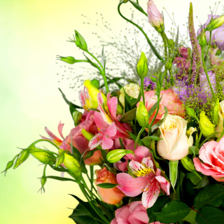 Calla Lily Bouquet - Fondos de pantalla gratis para iPad Air