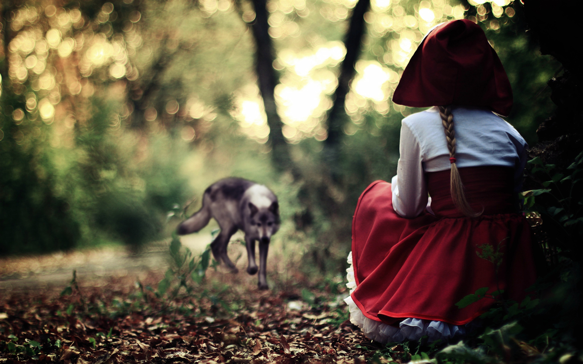 Das Red Riding Hood In Forest Wallpaper 1920x1200