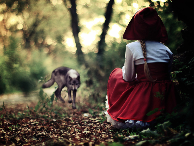 Red Riding Hood In Forest wallpaper 800x600