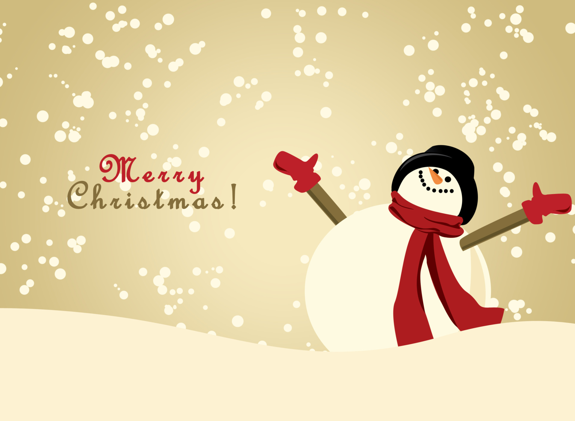 Merry Christmas Wishes from Snowman wallpaper 1920x1408