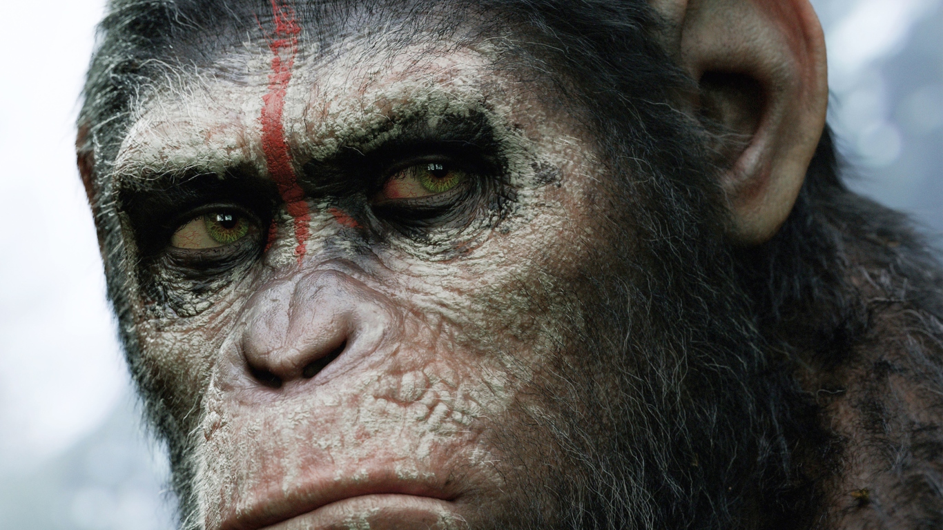 Screenshot №1 pro téma Dawn Of The Planet Of The Apes 2014 1366x768