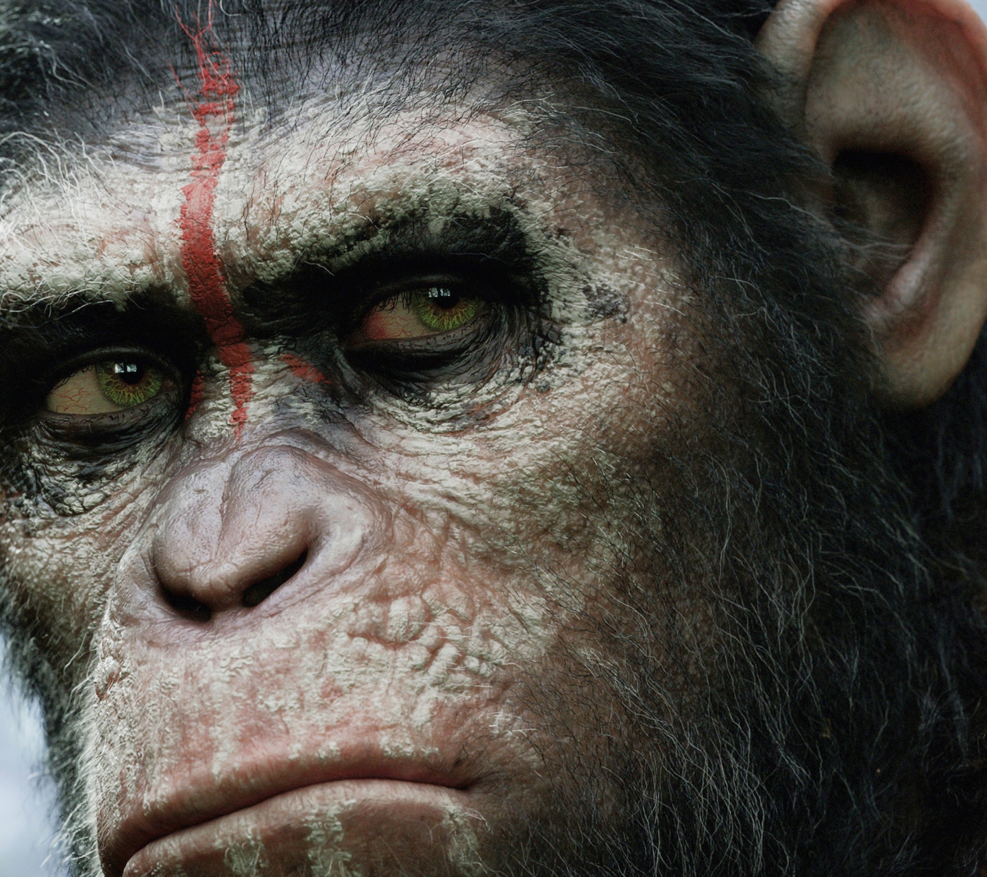 Обои Dawn Of The Planet Of The Apes 2014 1440x1280