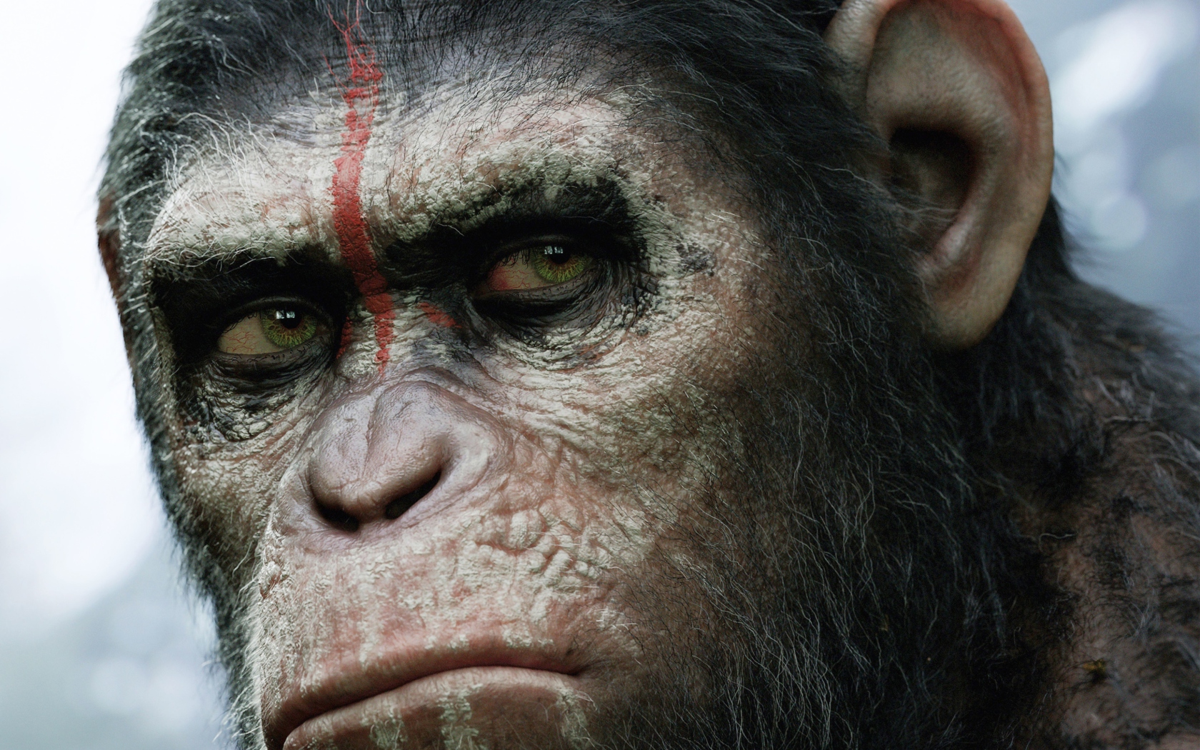 Screenshot №1 pro téma Dawn Of The Planet Of The Apes 2014 1680x1050