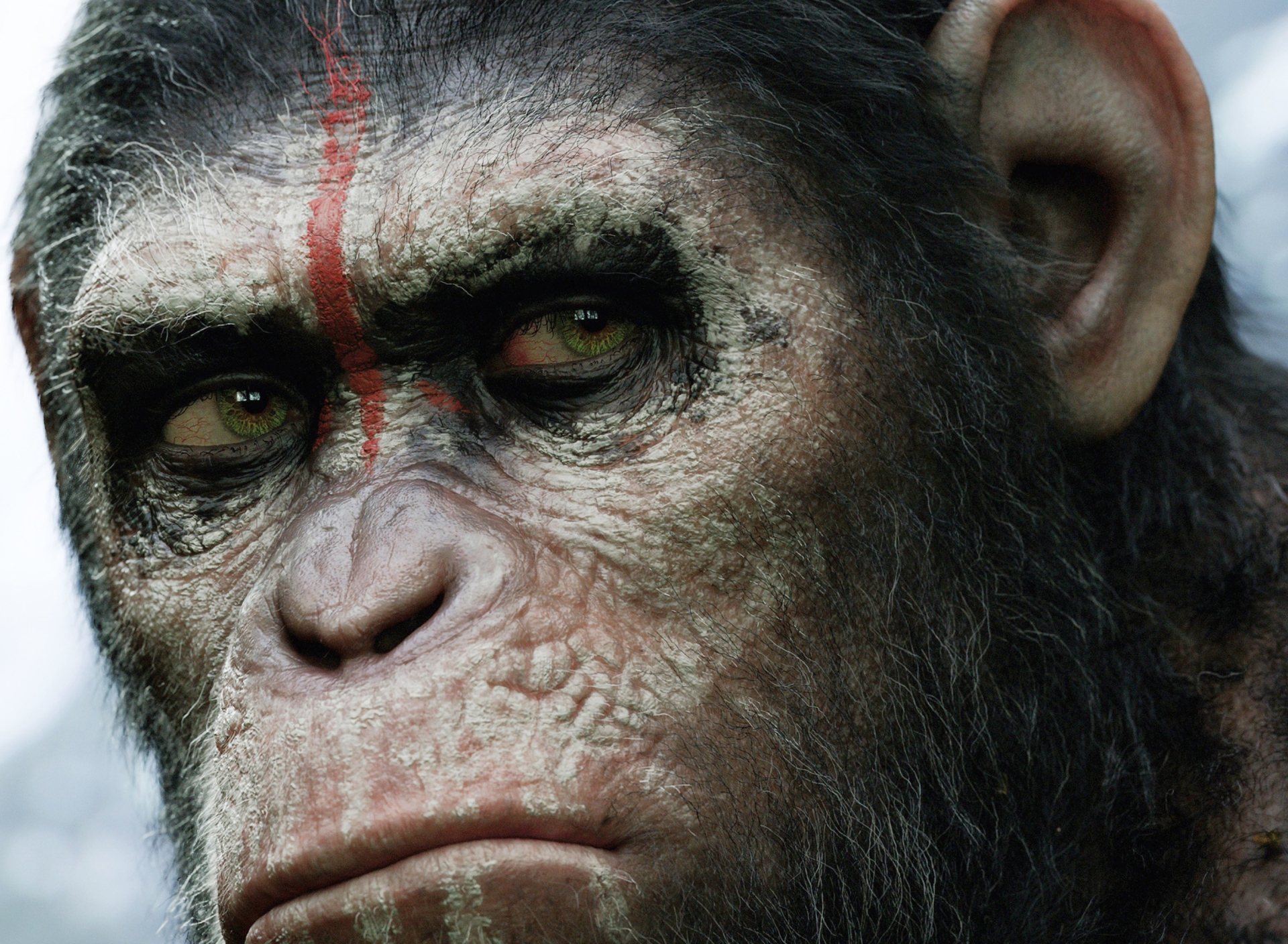 Fondo de pantalla Dawn Of The Planet Of The Apes 2014 1920x1408