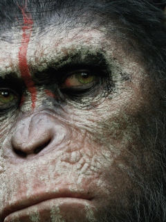 Das Dawn Of The Planet Of The Apes 2014 Wallpaper 240x320