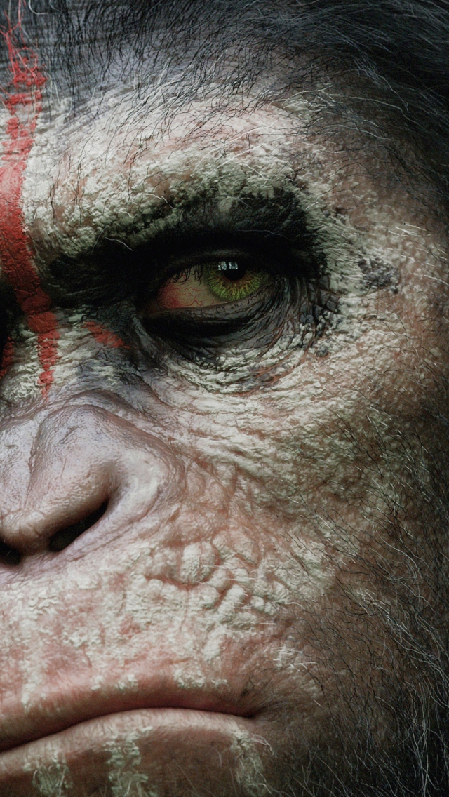 Das Dawn Of The Planet Of The Apes 2014 Wallpaper 640x1136