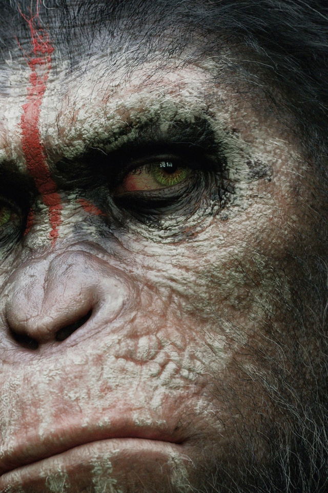 Das Dawn Of The Planet Of The Apes 2014 Wallpaper 640x960
