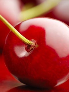 Cherry Macro wallpaper 240x320