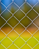 Das Cage Fence Wallpaper 128x160