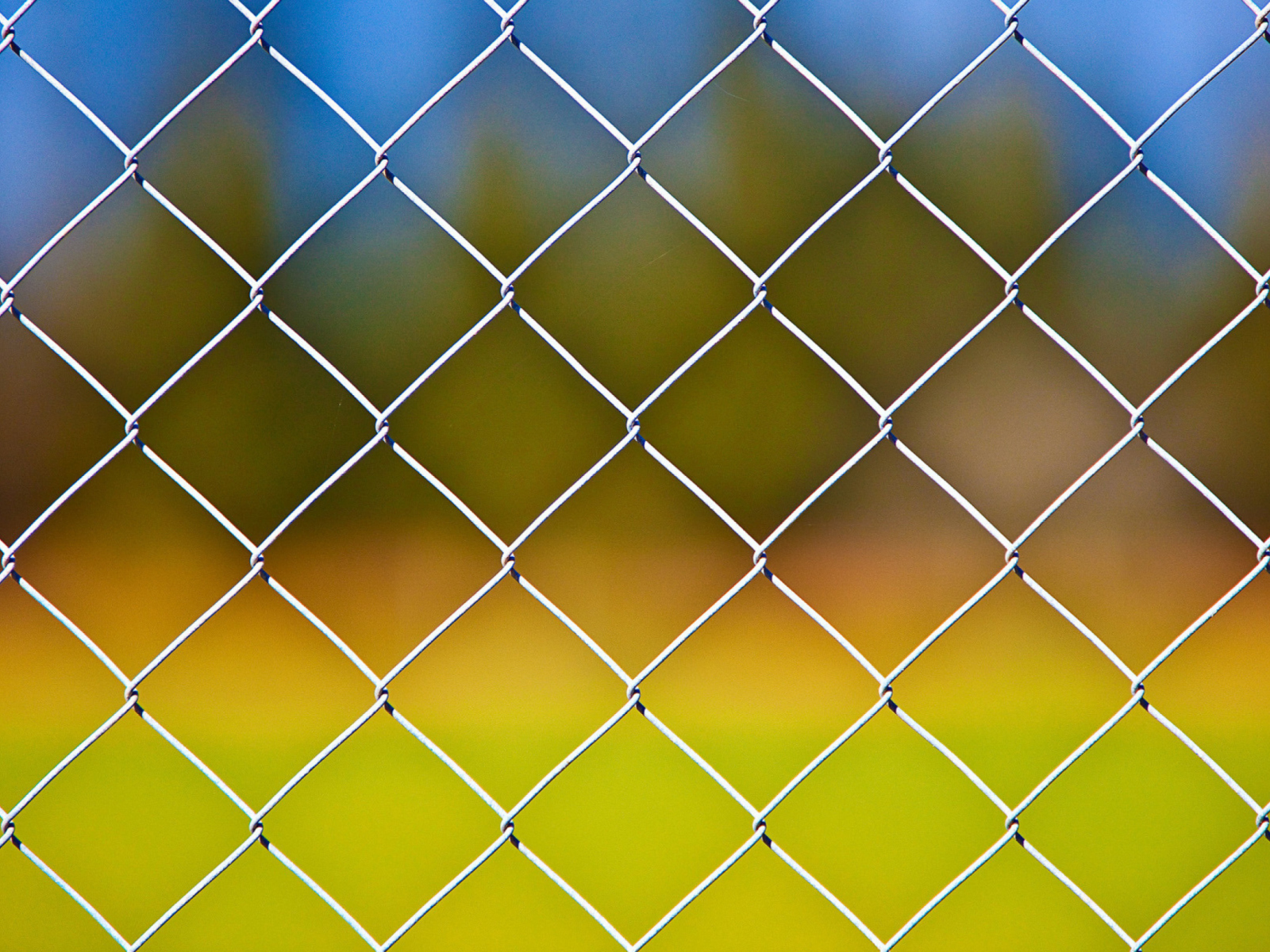 Cage Fence screenshot #1 1600x1200
