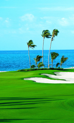Fondo de pantalla Golf Course on Ponte Vedra Beach 240x400