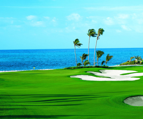 Обои Golf Course on Ponte Vedra Beach 480x400