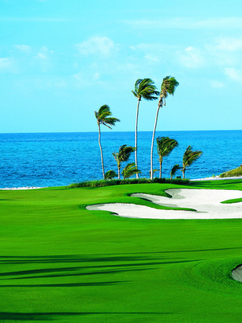 Das Golf Course on Ponte Vedra Beach Wallpaper 480x640