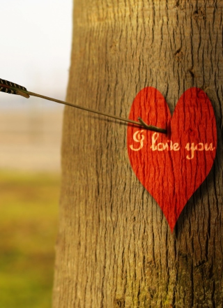 I Love You - Obrázkek zdarma pro iPhone 5C
