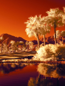 Screenshot №1 pro téma Orange Landscape 132x176