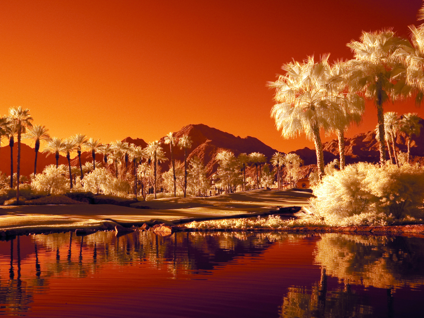 Orange Landscape screenshot #1 1400x1050