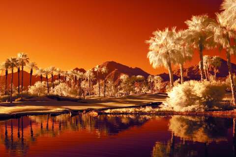 Orange Landscape screenshot #1 480x320