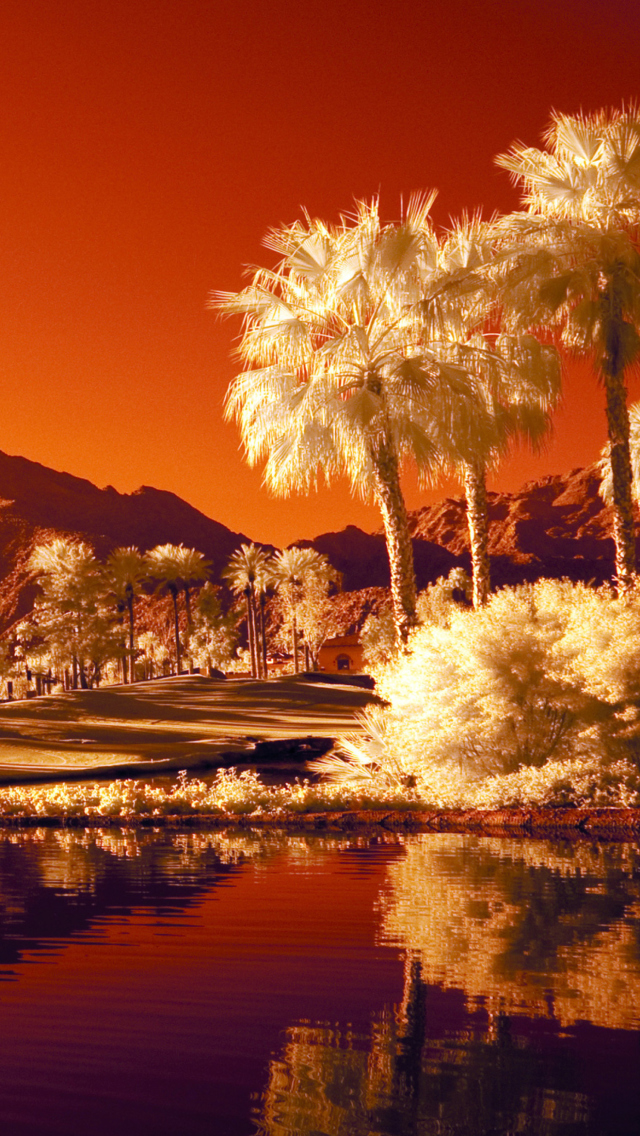 Screenshot №1 pro téma Orange Landscape 640x1136
