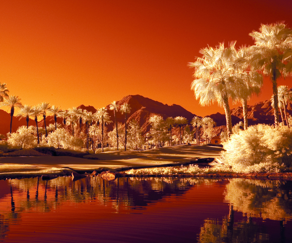 Screenshot №1 pro téma Orange Landscape 960x800