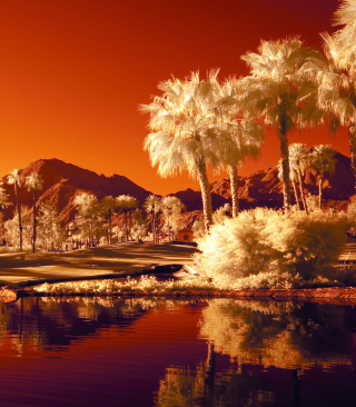 Orange Landscape - Obrázkek zdarma pro iPhone 5S