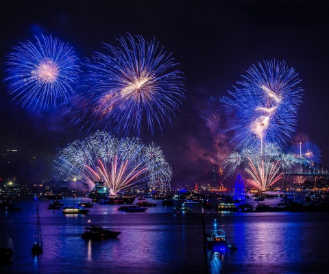 Fondo de pantalla New Year Fireworks 480x400
