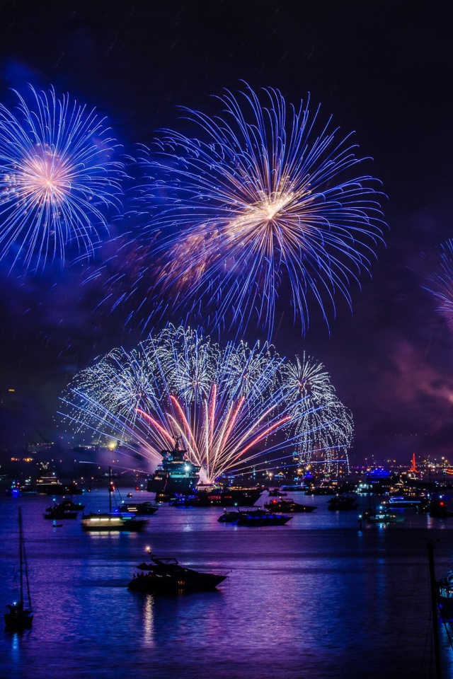 Fondo de pantalla New Year Fireworks 640x960