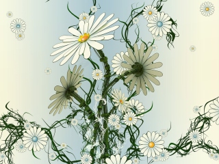 Das Daisy Pattern Wallpaper 320x240