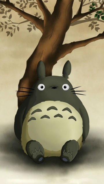 Das My Neighbor Totoro Anime Film Wallpaper 360x640
