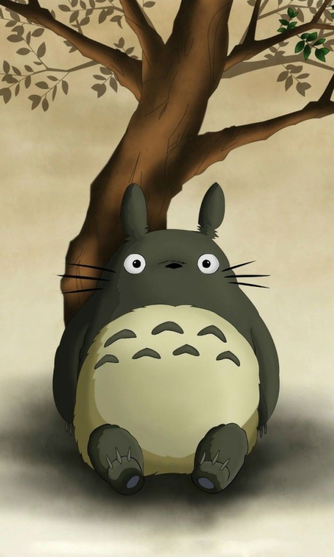 Sfondi My Neighbor Totoro Anime Film 480x800