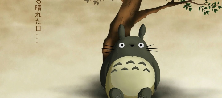 Das My Neighbor Totoro Anime Film Wallpaper 720x320