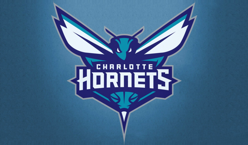 Fondo de pantalla Charlotte Hornets 1024x600