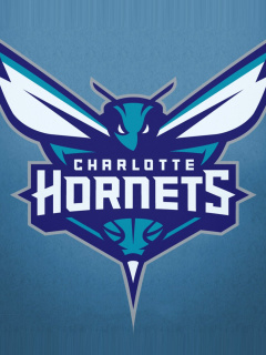 Screenshot №1 pro téma Charlotte Hornets 240x320