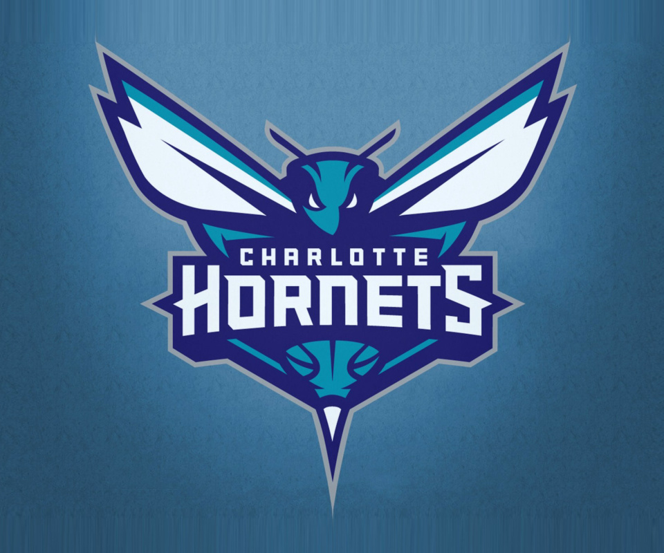 Sfondi Charlotte Hornets 960x800