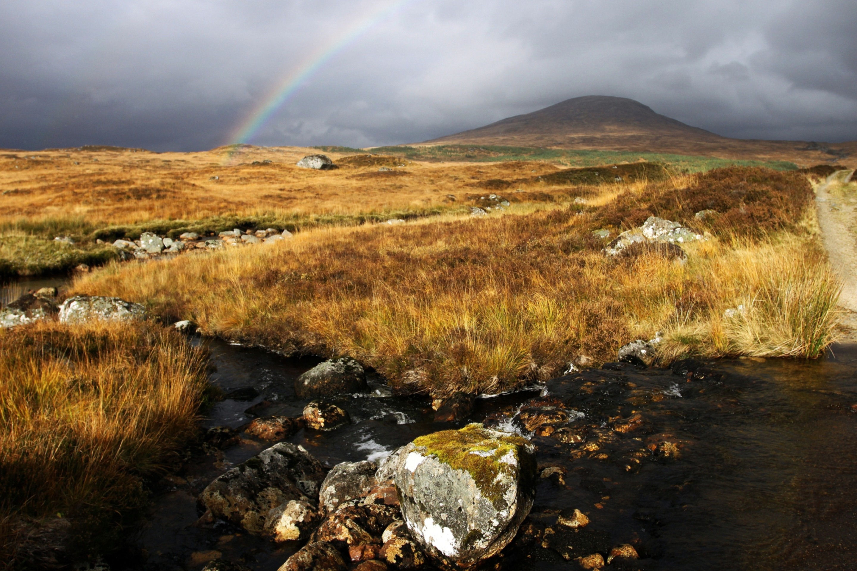 Screenshot №1 pro téma Rannoch Moor 2880x1920