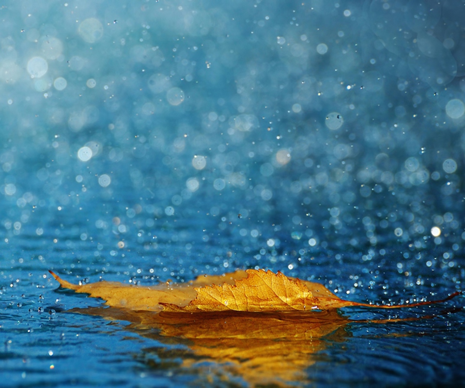 Yellow Leaf In The Rain screenshot #1 960x800
