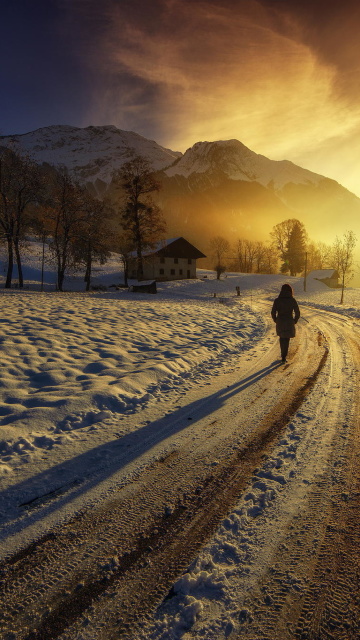 Sfondi Winter Sunrise 360x640