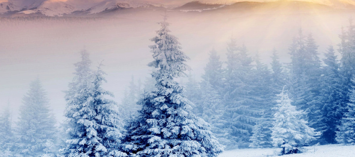 Fondo de pantalla Winter Nature in Prisma Editor 720x320
