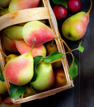 Sweet Pears sfondi gratuiti per iPhone 5S