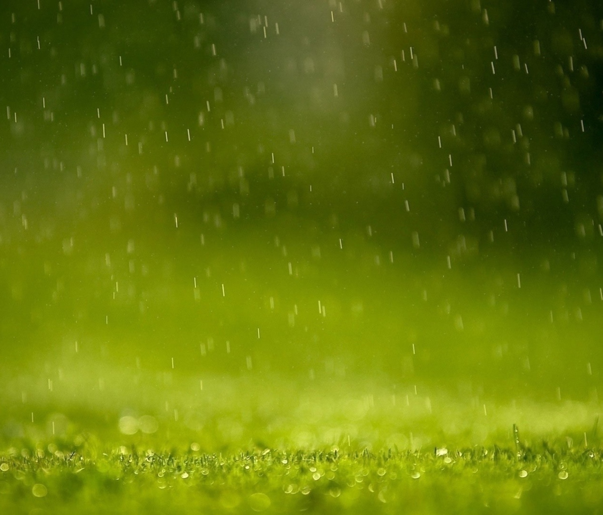 Screenshot №1 pro téma Water Drops And Green Grass 1200x1024