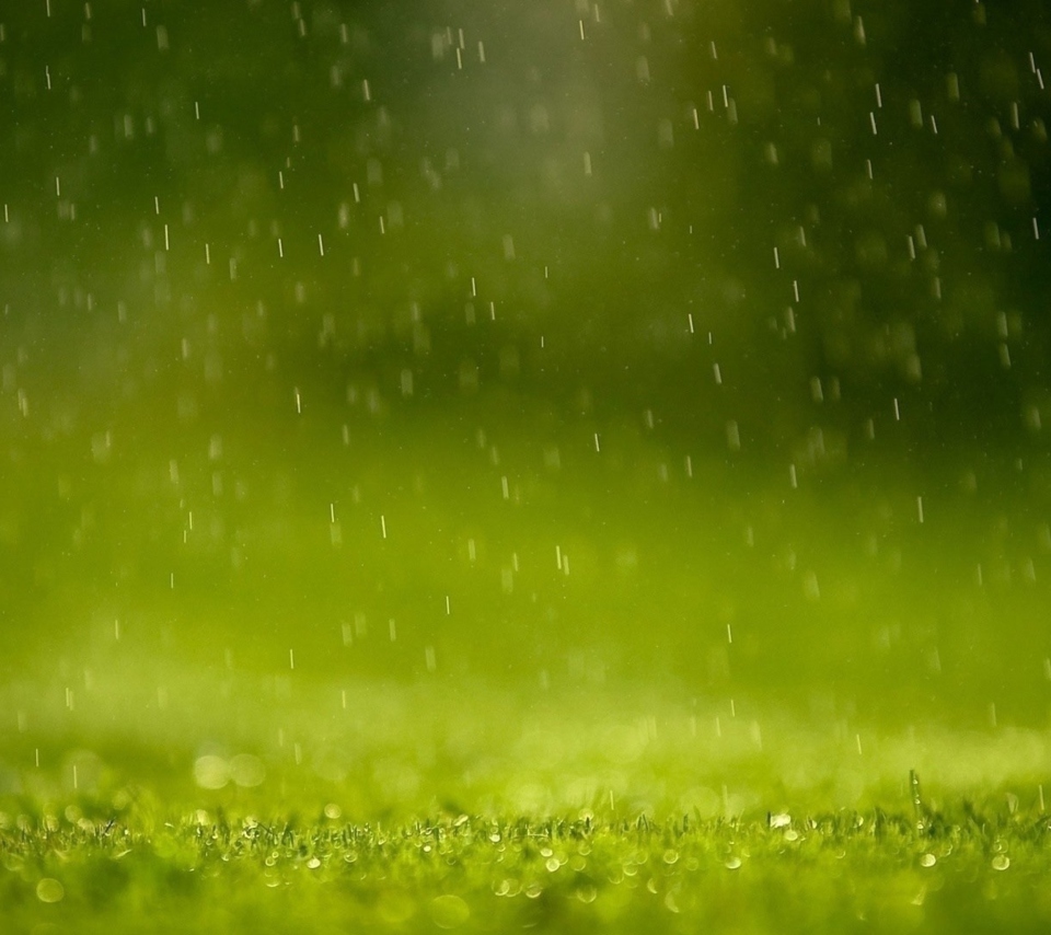 Screenshot №1 pro téma Water Drops And Green Grass 960x854