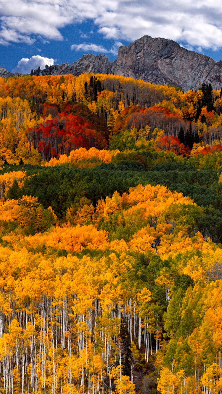 Das First Day of Autumn In Canada Wallpaper 750x1334