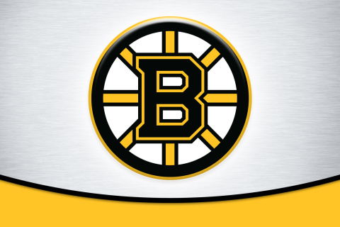 Screenshot №1 pro téma Boston Bruins Team Logo 480x320