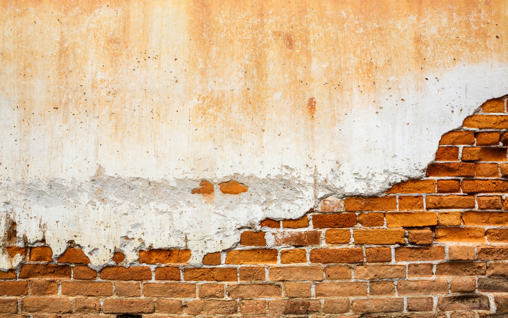 Обои Brick Wall 1680x1050