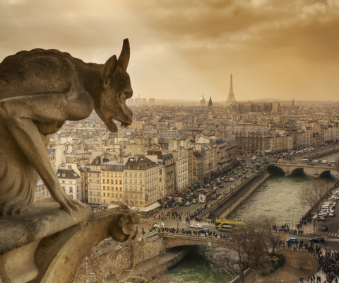 Screenshot №1 pro téma Notre Dame De Paris 480x400