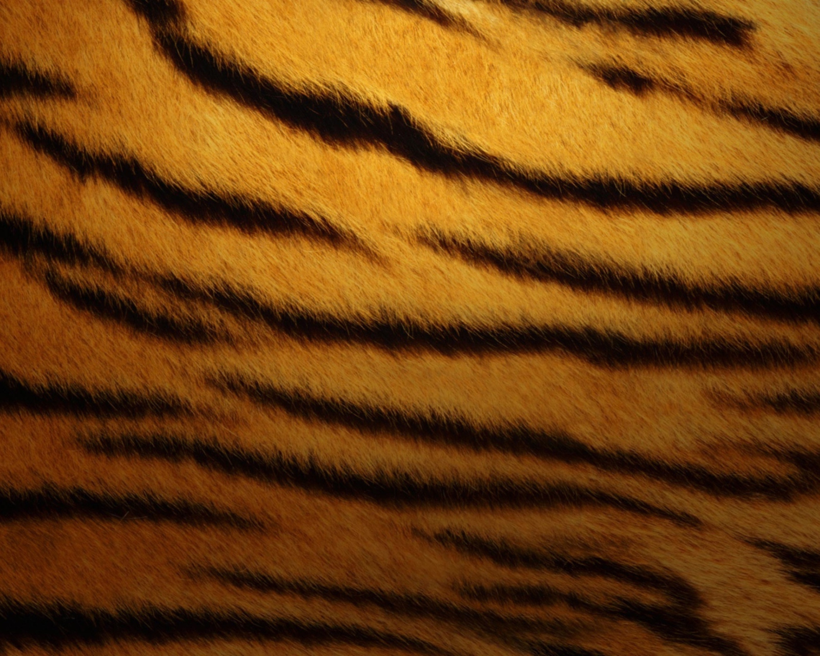 Fondo de pantalla Tiger Skin 1600x1280