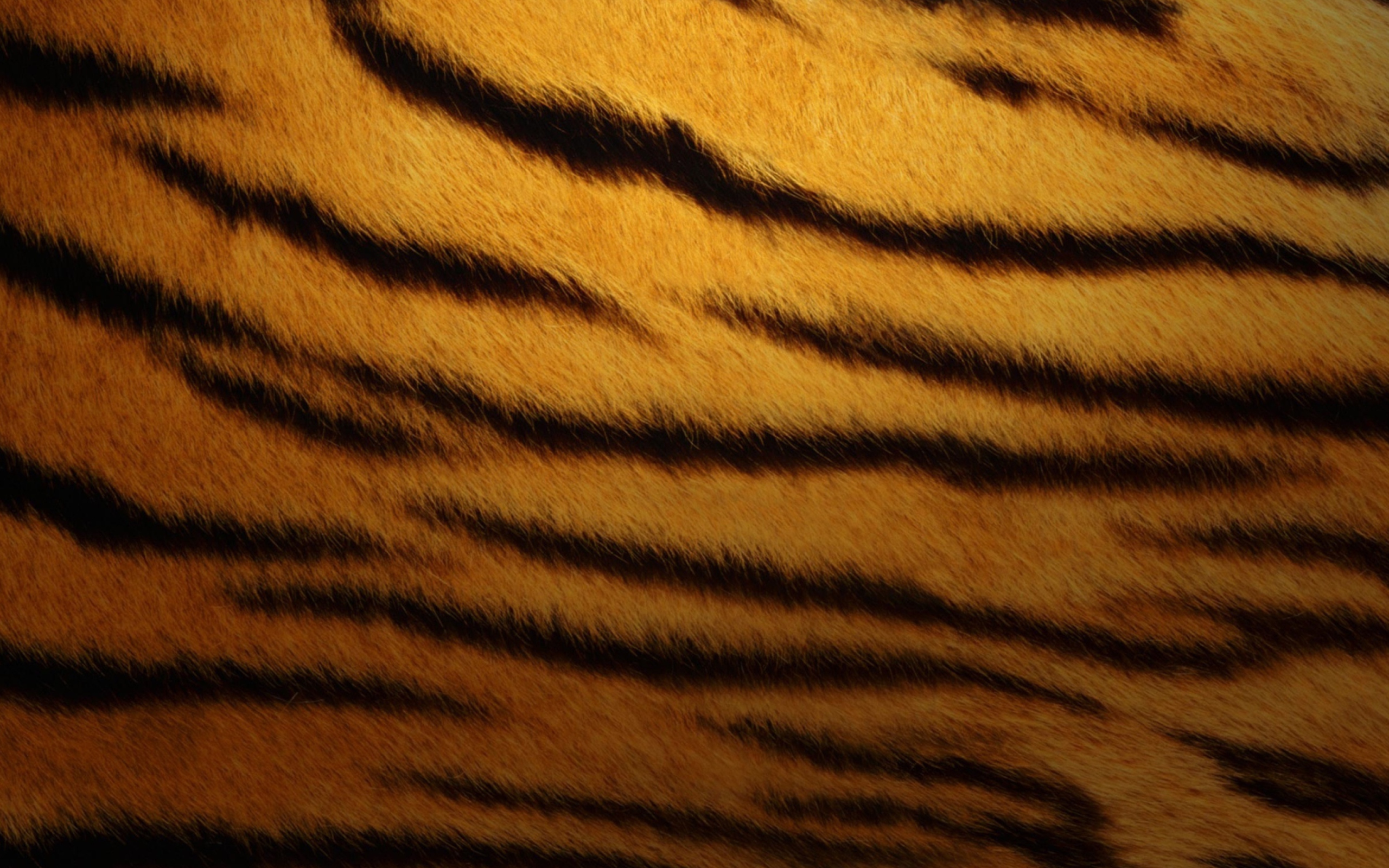 Sfondi Tiger Skin 2560x1600