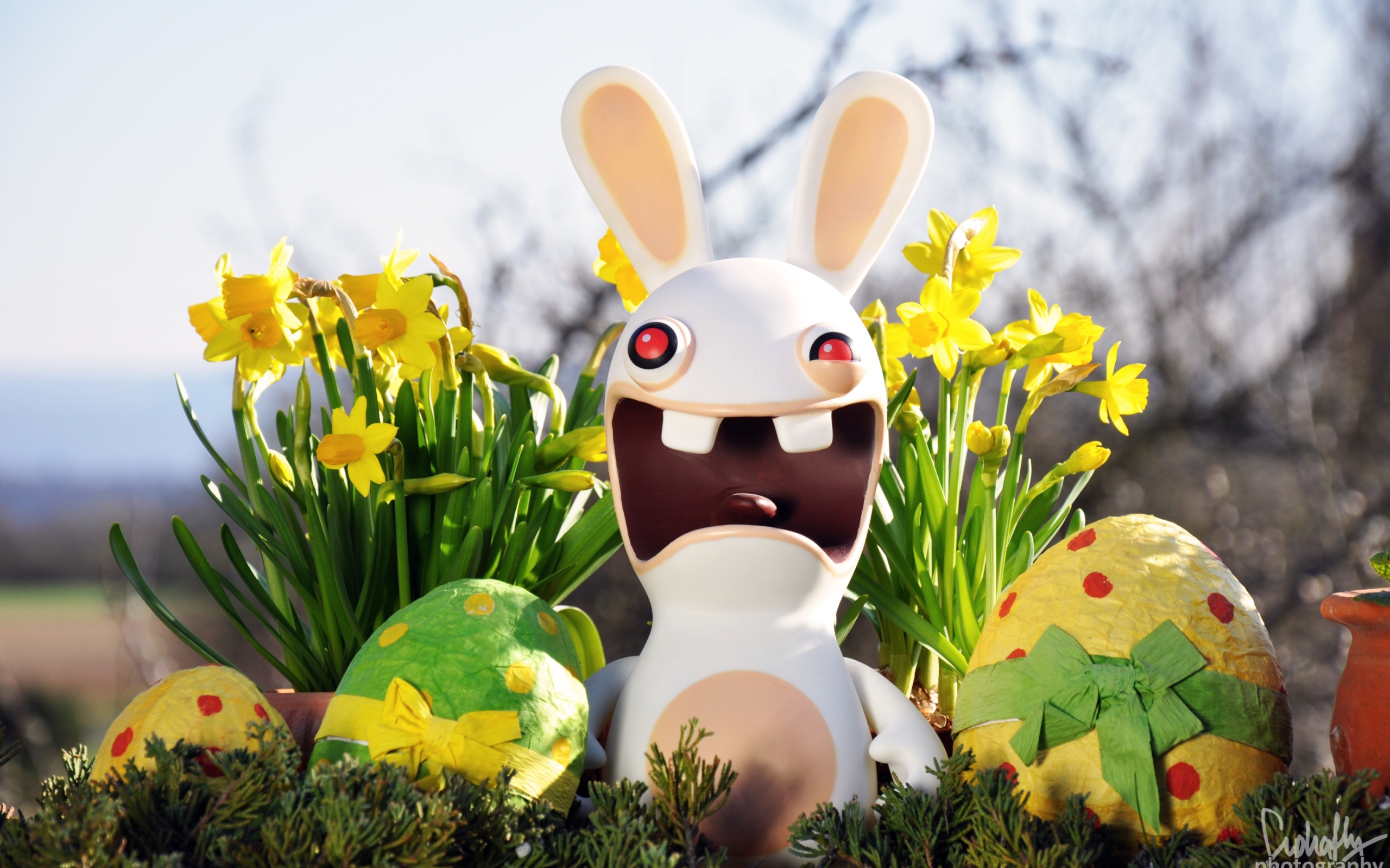 Das Funny Ugly Easter Bunny Wallpaper 2560x1600