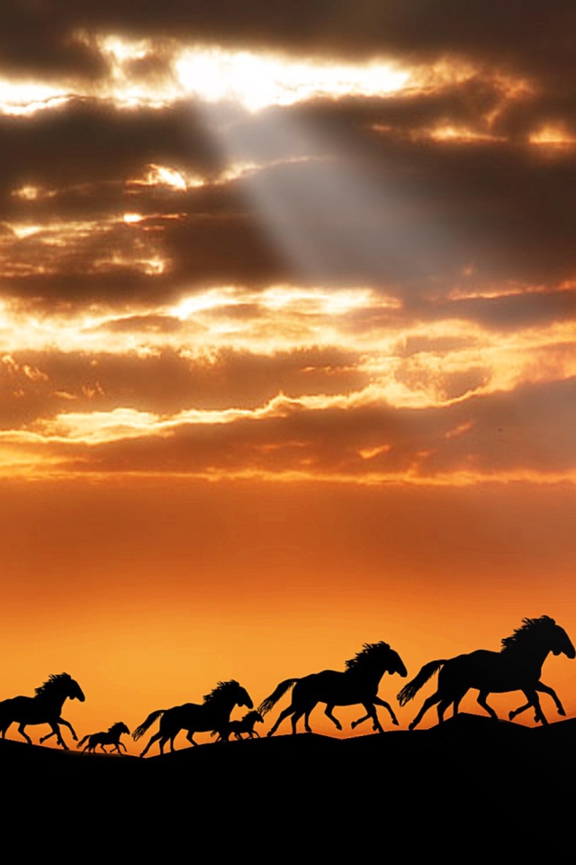 Horses Running Free wallpaper 640x960