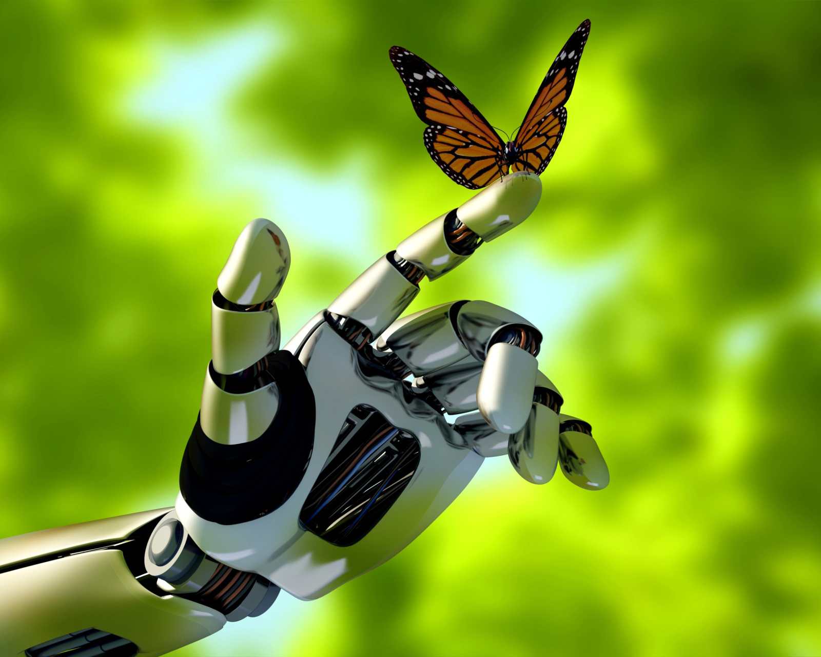 Robot hand and butterfly wallpaper 1600x1280